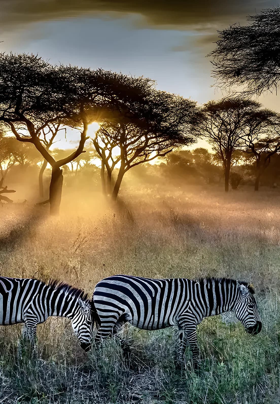 Namibia